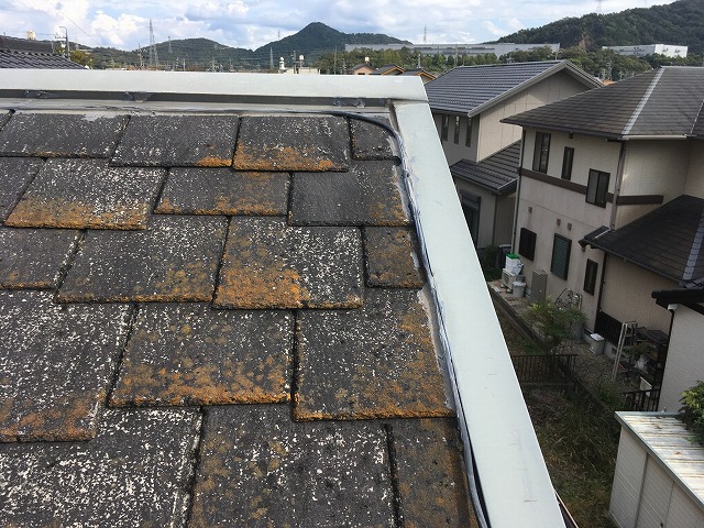 棟板金の不具合にご注意ください